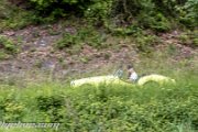 23.-ims-schlierbach-odenwald-classic-2014-rallyelive.com-7741.jpg